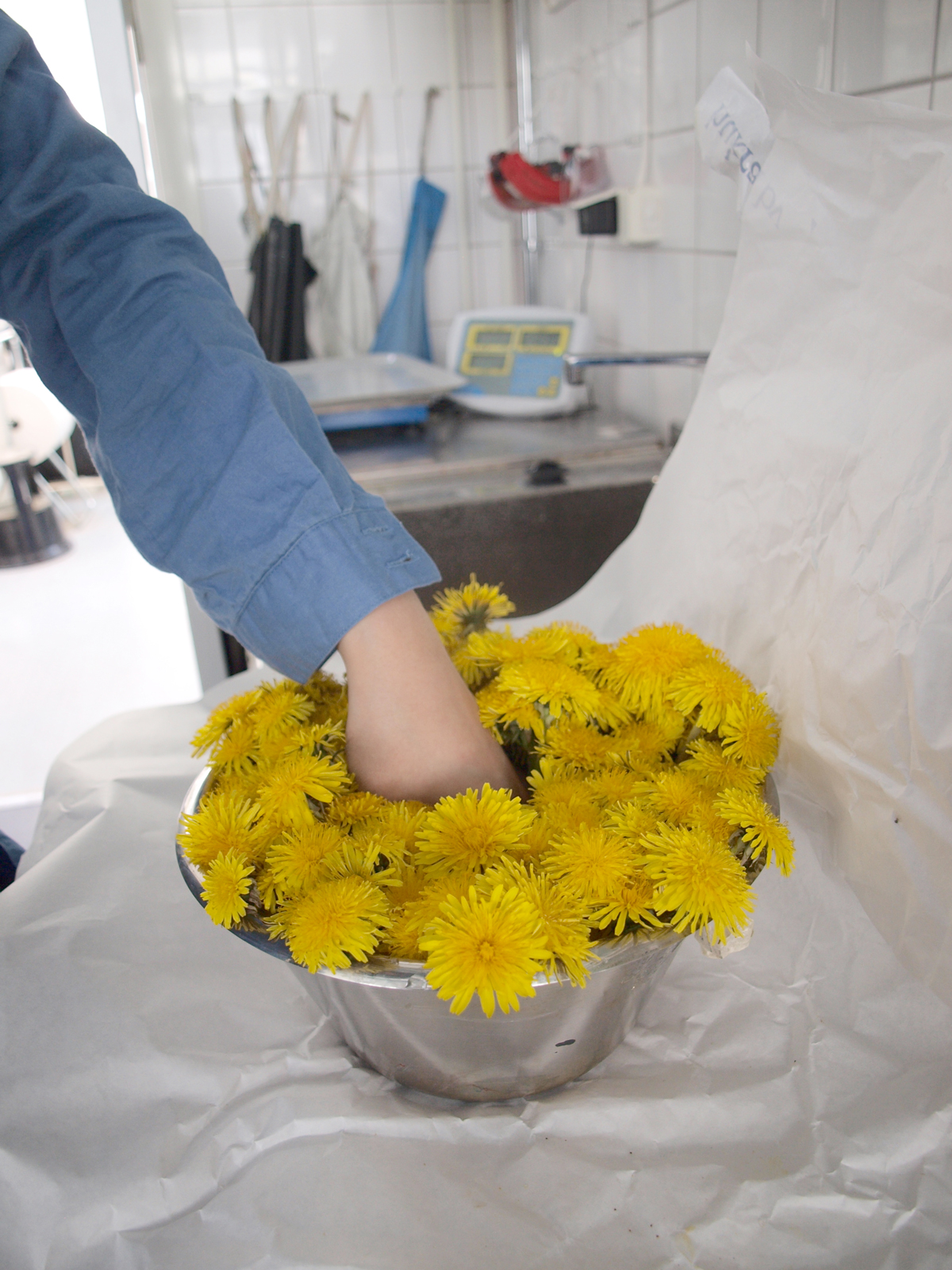 Draped Flowers